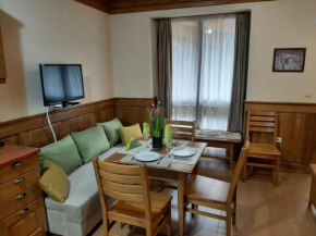 Private Studio Pirin Golf Hotel Bansko